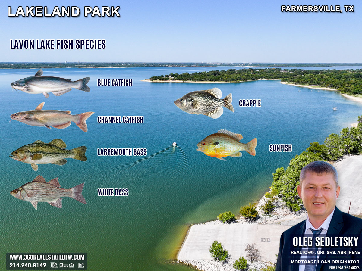 Lakeland Park in Farmersville, TX
